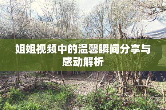 姐姐视频中的温馨瞬间分享与感动解析