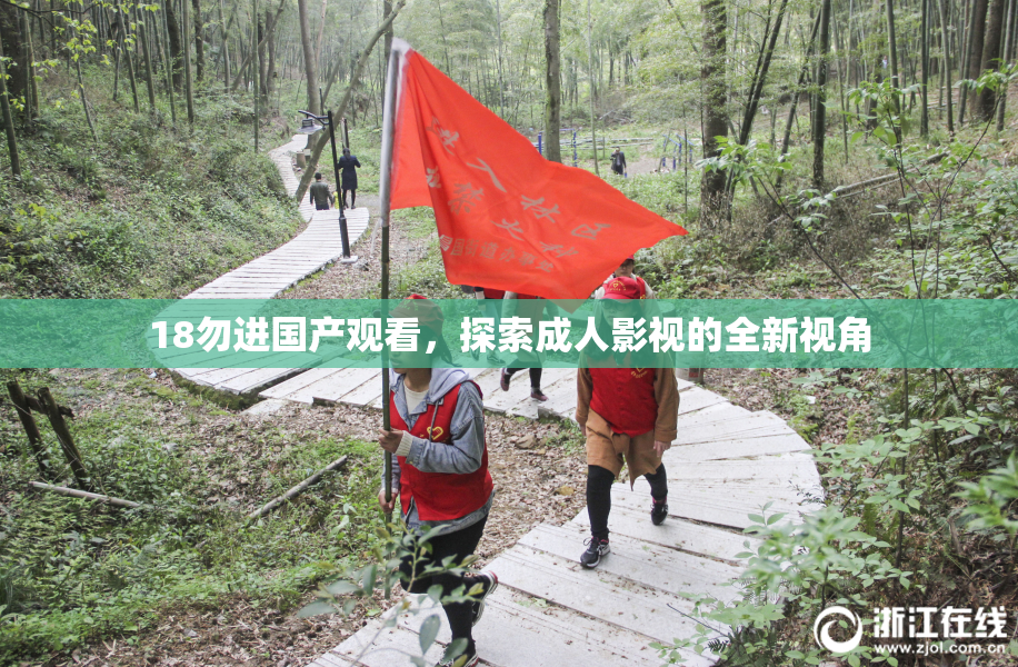 18勿进国产观看，探索成人影视的全新视角