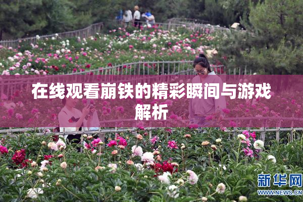 在线观看崩铁的精彩瞬间与游戏解析