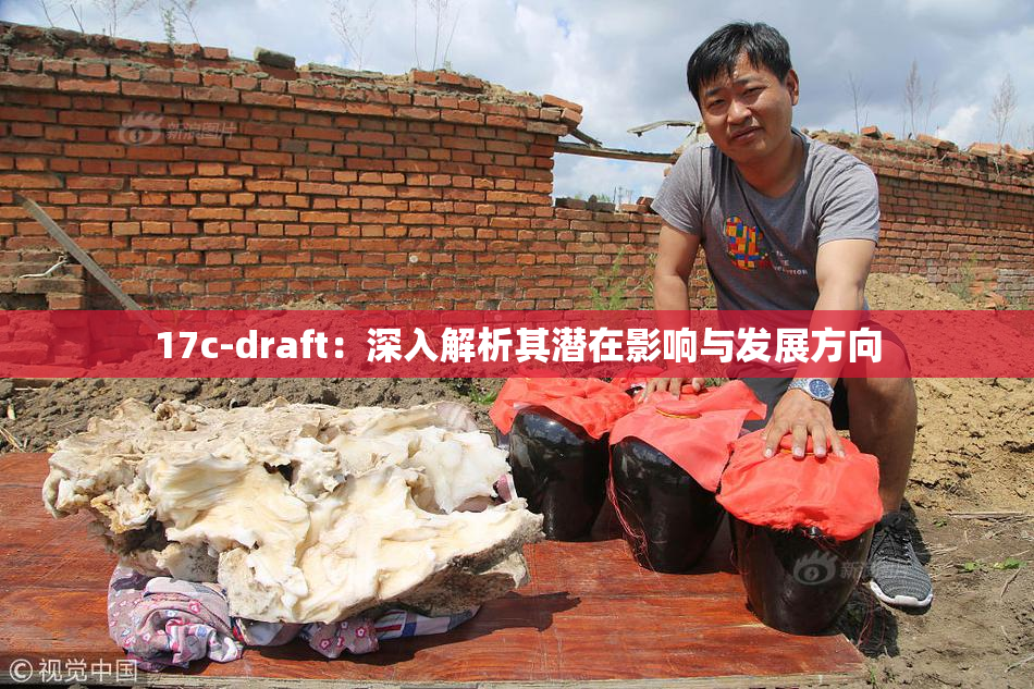 17c-draft：深入解析其潜在影响与发展方向