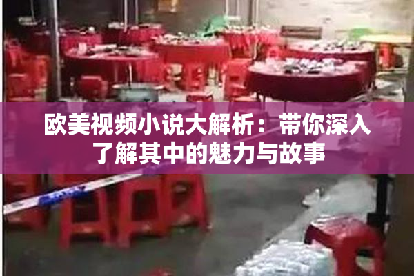 欧美视频小说大解析：带你深入了解其中的魅力与故事