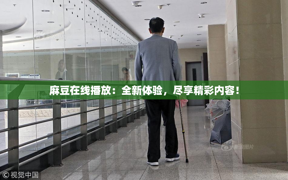 麻豆在线播放：全新体验，尽享精彩内容！
