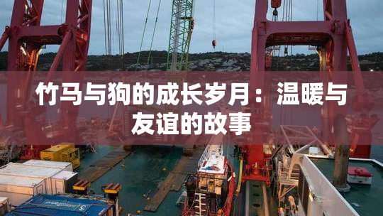 竹马与狗的成长岁月：温暖与友谊的故事