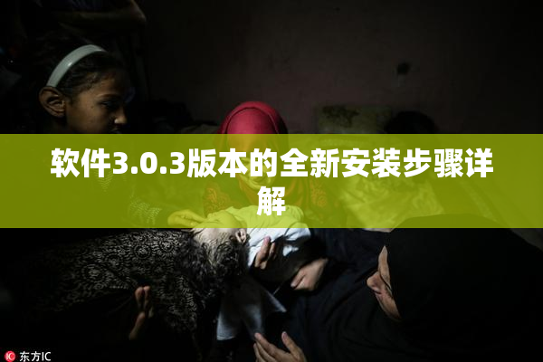 软件3.0.3版本的全新安装步骤详解