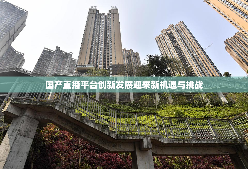国产直播平台创新发展迎来新机遇与挑战