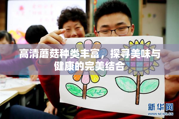 高清蘑菇种类丰富，探寻美味与健康的完美结合
