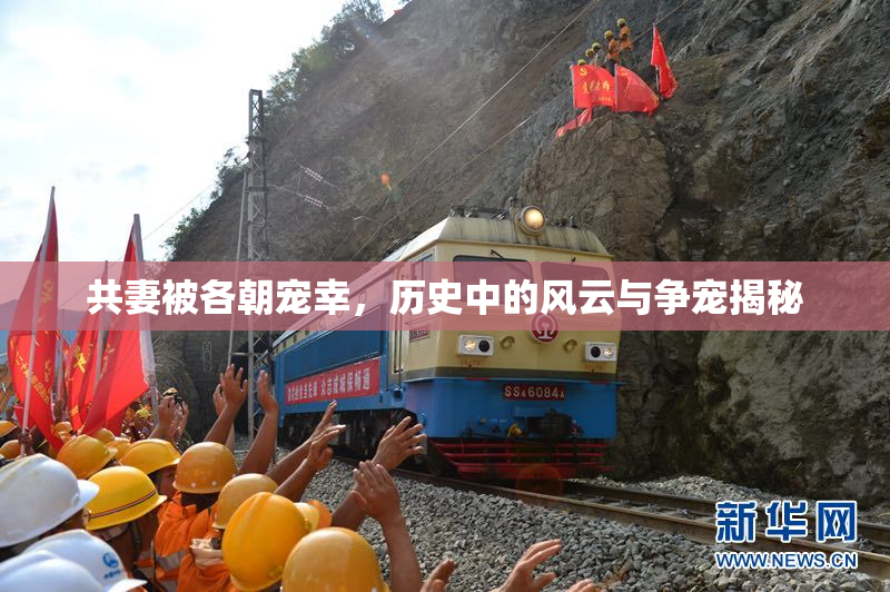 共妻被各朝宠幸，历史中的风云与争宠揭秘