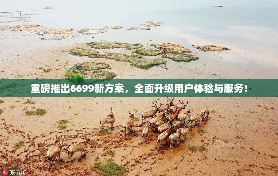 重磅推出6699新方案，全面升级用户体验与服务！