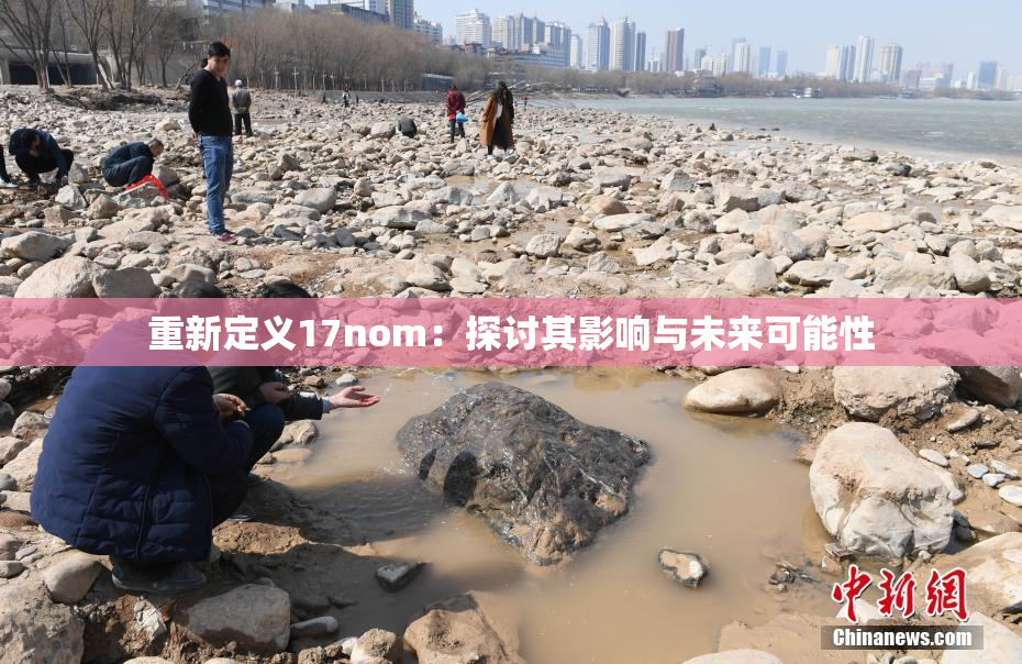 重新定义17nom：探讨其影响与未来可能性