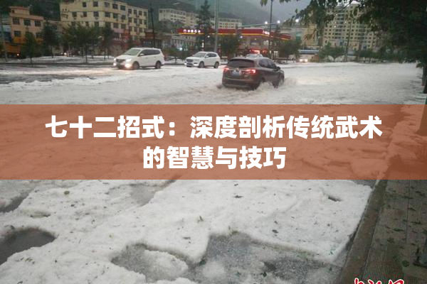 七十二招式：深度剖析传统武术的智慧与技巧