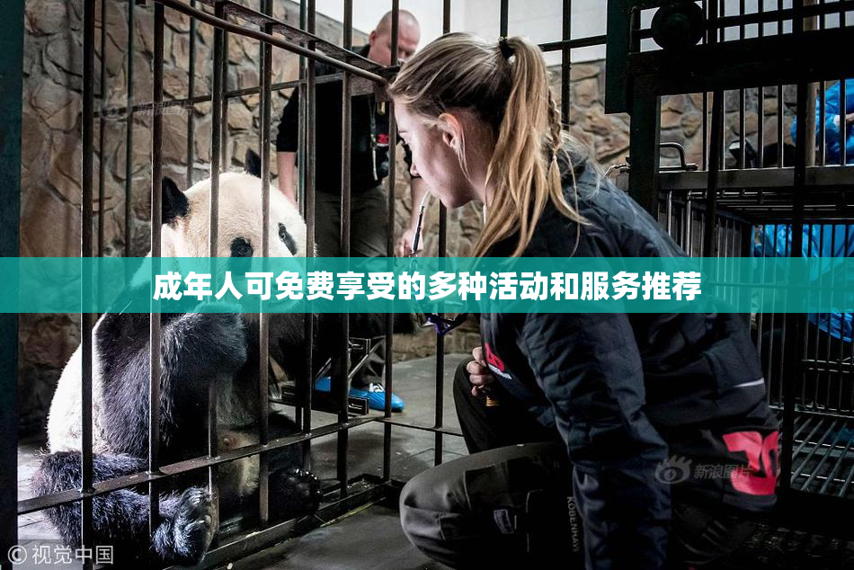 成年人可免费享受的多种活动和服务推荐