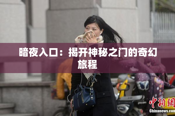 暗夜入口：揭开神秘之门的奇幻旅程