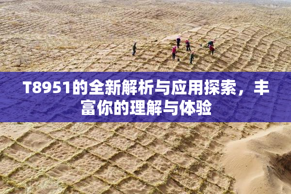 T8951的全新解析与应用探索，丰富你的理解与体验