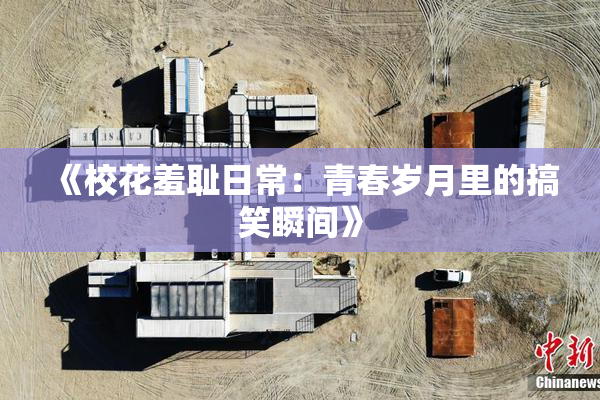 《校花羞耻日常：青春岁月里的搞笑瞬间》