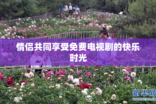情侣共同享受免费电视剧的快乐时光