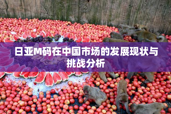 日亚M码在中国市场的发展现状与挑战分析