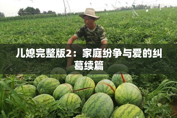 儿媳完整版2：家庭纷争与爱的纠葛续篇