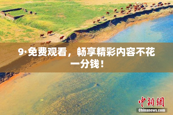 9·免费观看，畅享精彩内容不花一分钱！
