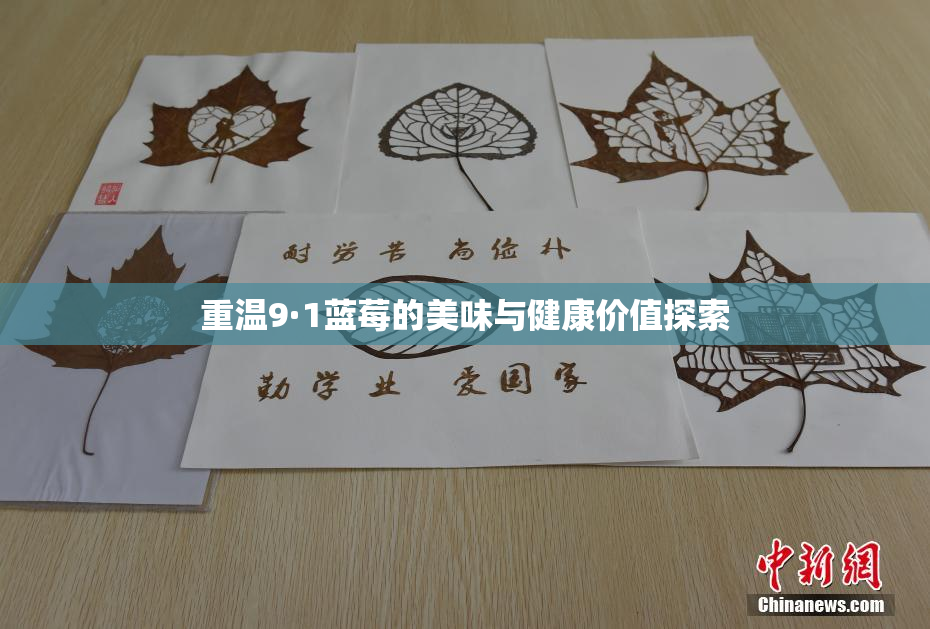 重温9·1蓝莓的美味与健康价值探索