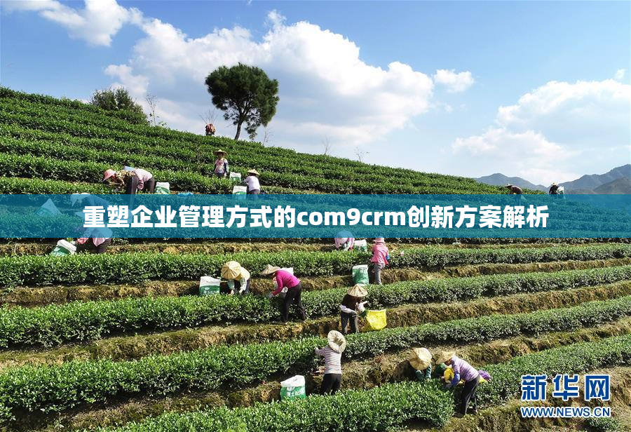 重塑企业管理方式的com9crm创新方案解析