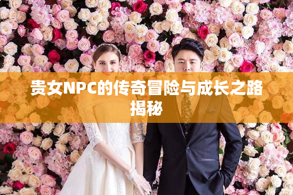 贵女NPC的传奇冒险与成长之路揭秘