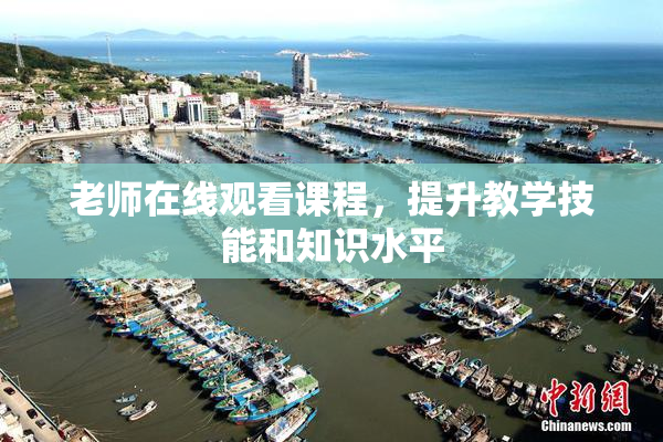 老师在线观看课程，提升教学技能和知识水平