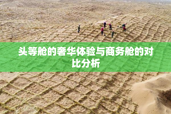 头等舱的奢华体验与商务舱的对比分析