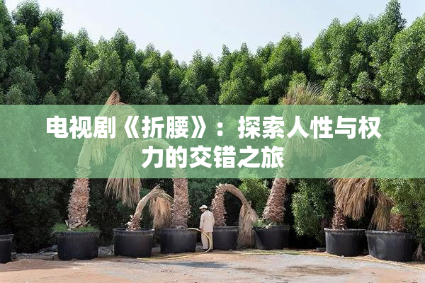 电视剧《折腰》：探索人性与权力的交错之旅