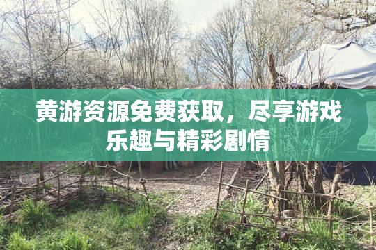 黄游资源免费获取，尽享游戏乐趣与精彩剧情