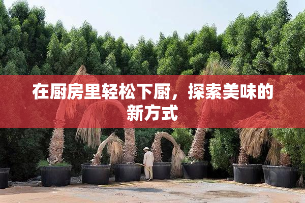 在厨房里轻松下厨，探索美味的新方式