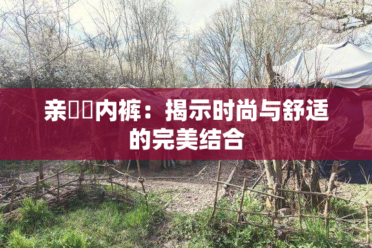 亲妺妺内裤：揭示时尚与舒适的完美结合