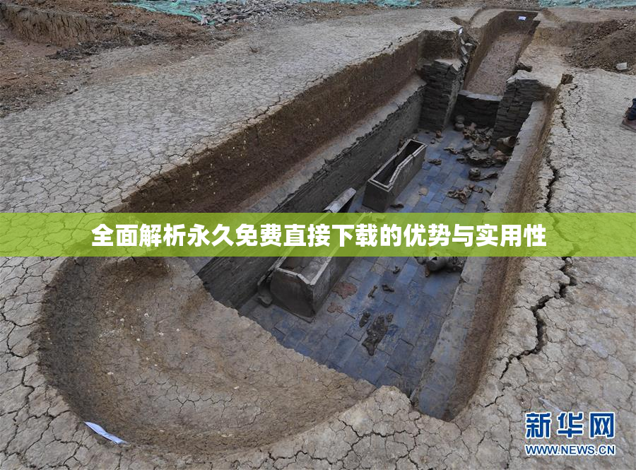 全面解析永久免费直接下载的优势与实用性