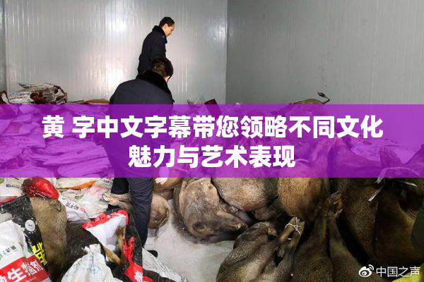 黄 字中文字幕带您领略不同文化魅力与艺术表现