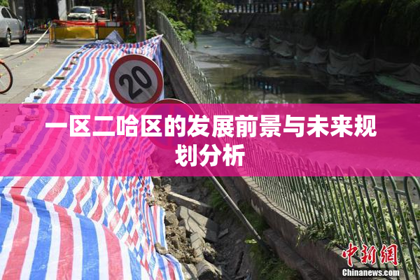 一区二哈区的发展前景与未来规划分析