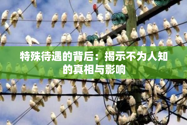 特殊待遇的背后：揭示不为人知的真相与影响