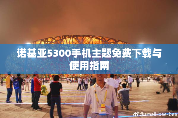 诺基亚5300手机主题免费下载与使用指南