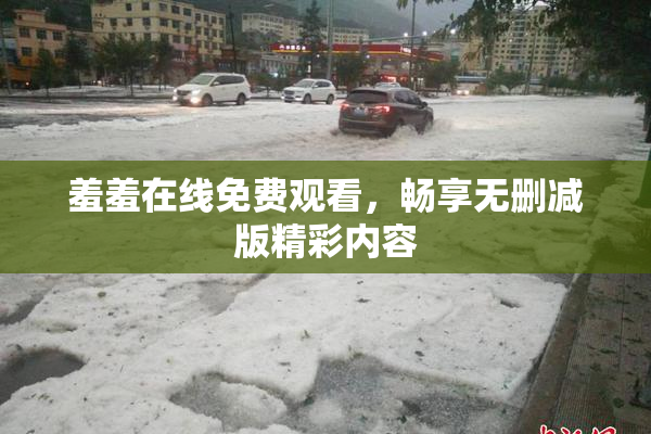 羞羞在线免费观看，畅享无删减版精彩内容