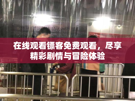 在线观看镖客免费观看，尽享精彩剧情与冒险体验