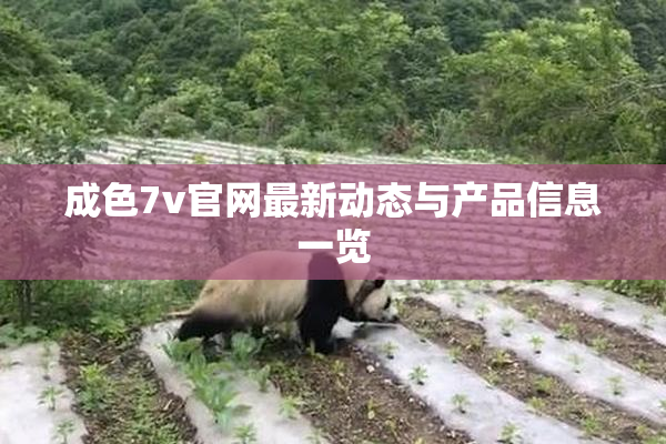 成色7v官网最新动态与产品信息一览