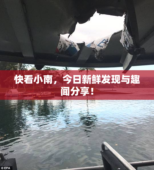 快看小南，今日新鲜发现与趣闻分享！