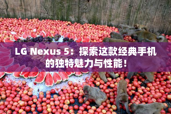 LG Nexus 5：探索这款经典手机的独特魅力与性能！