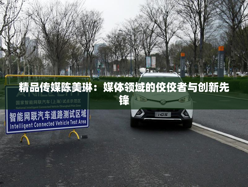 精品传媒陈美琳：媒体领域的佼佼者与创新先锋