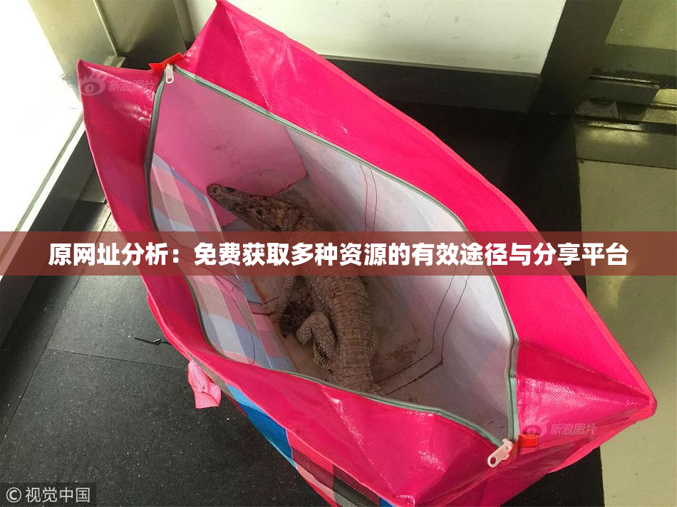 原网址分析：免费获取多种资源的有效途径与分享平台