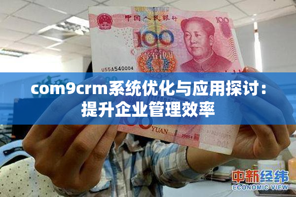 com9crm系统优化与应用探讨：提升企业管理效率