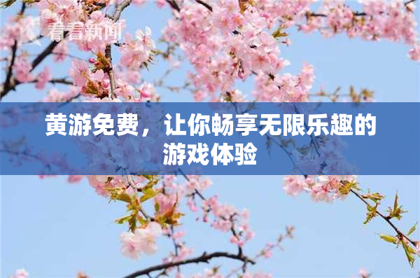 黄游免费，让你畅享无限乐趣的游戏体验