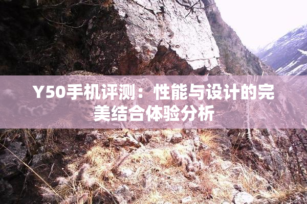 Y50手机评测：性能与设计的完美结合体验分析