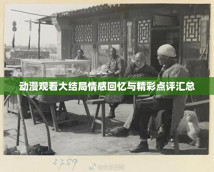 动漫观看大结局情感回忆与精彩点评汇总