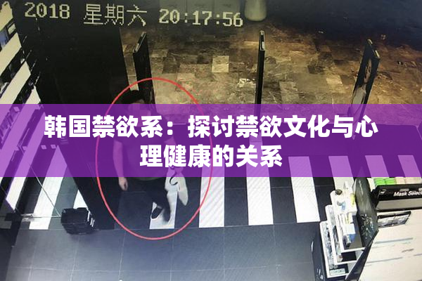 韩国禁欲系：探讨禁欲文化与心理健康的关系