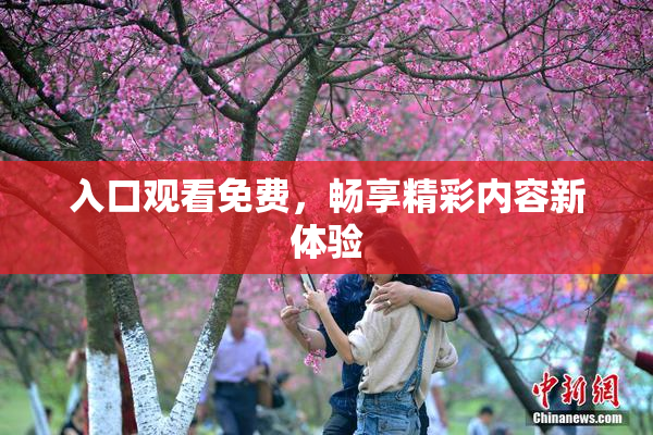 入口观看免费，畅享精彩内容新体验
