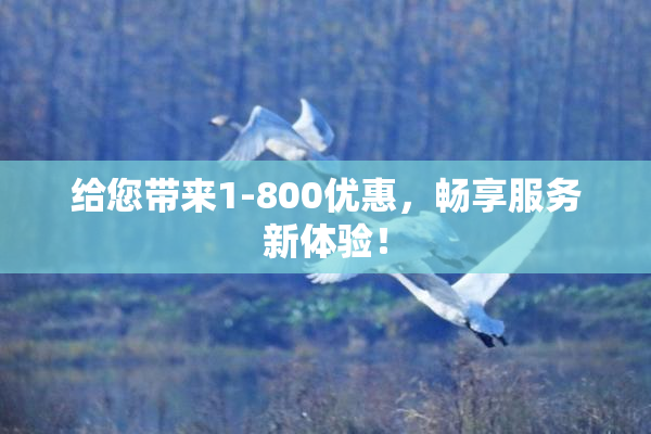 给您带来1-800优惠，畅享服务新体验！